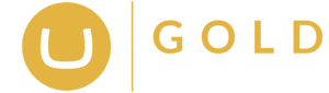 Gold-Umbraco-Partner