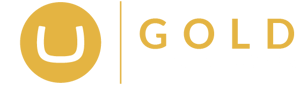 Umbraco Gold Partner logo