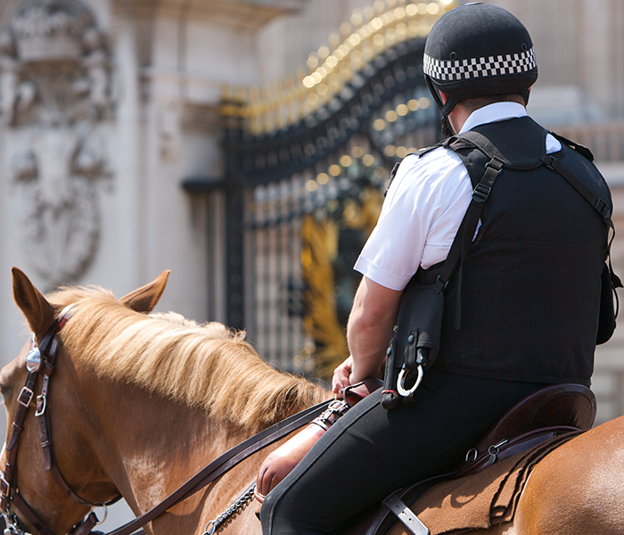 Police officer sat on a horse
