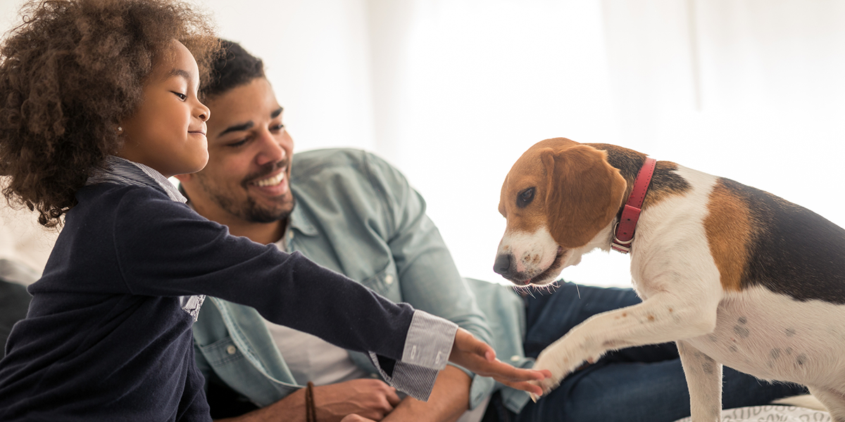 A family with a beagle.