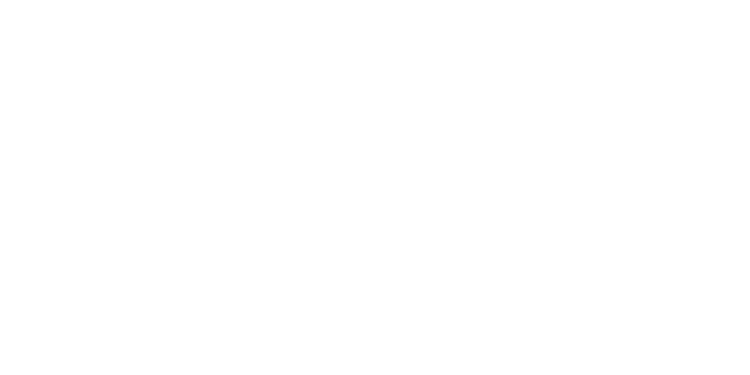 Home Office logo Home Office logo